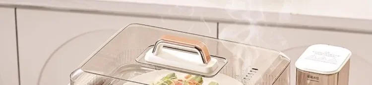 Description Picture 5 of item110V/220V Electric Steamer Pot Large Capacity Multifunctional with Delay Timer Steam Cook Stew