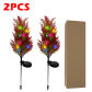 Coniferus 2PCS