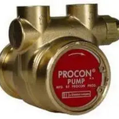 Procon 112A060F11DB130 Pump,Rotary Vane,Brass