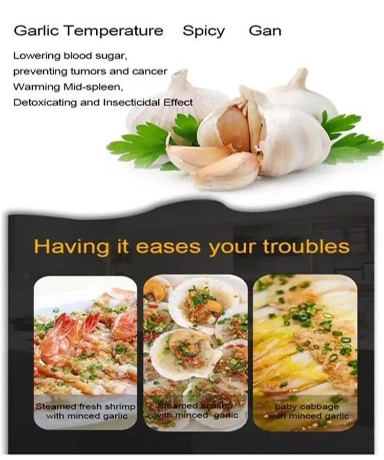 Description Picture 3 of itemGarlic Press Mincer Stainless Steel Multifunction Crusher Kitchen Cooking Ginger Squeezer Masher Handheld Ginger Mincer Tools