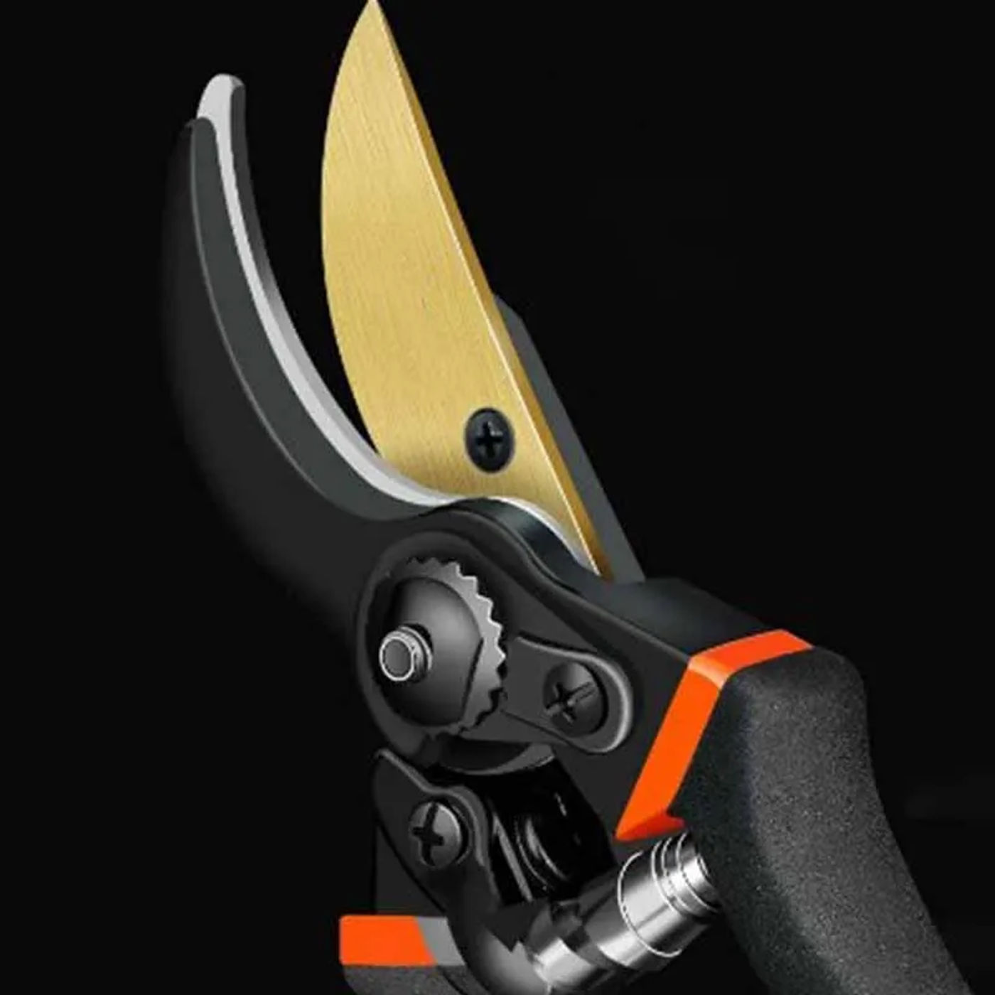 head_title lazy