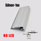 Silver-1M