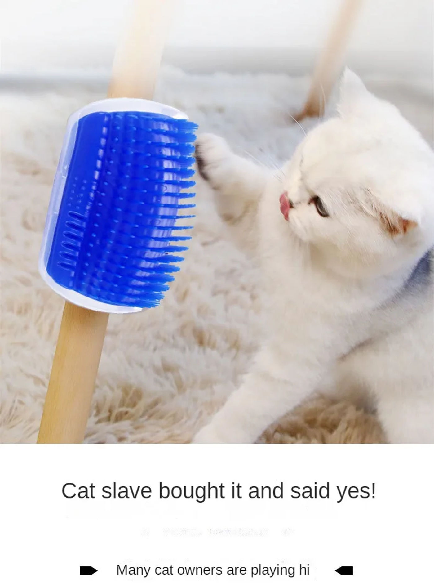 Description Picture 6 of itemNew cats Wall Corner Scratcher Brush Pet Comb Cratch Bristles Arch Massager Self Grooming Accessories
