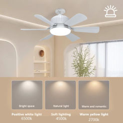 40W LED Light Ceiling Fan with Remote Control Modern Ceiling Fanlight 3 Colors Adjustable Creative Fan Lamp for Home Bedroom