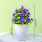 1pc Purple