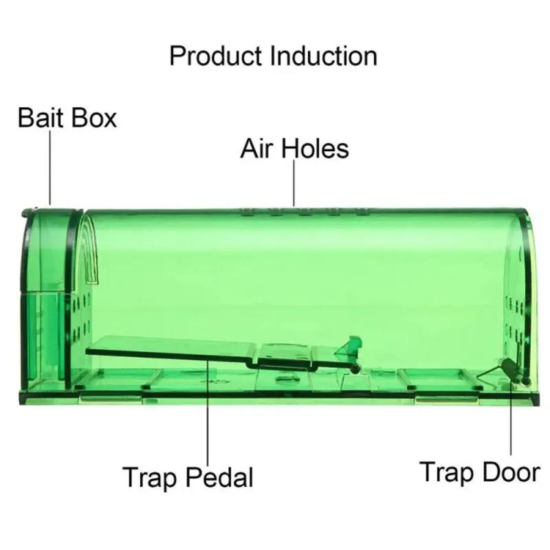 Description Picture 4 of item3Pcs Transparent Mouse Trap Rodent Mice Live Catcher Reusable Small Animals Cage Mouse Killer Mousetrap Small Rat Trap Killer
