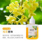 Osmanthus fragrance