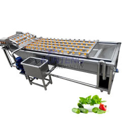 Industry fresh ginger lettuce bubble washing and air dryer drying machine vegetable fruit washer lentil cleaning machine