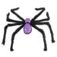 75cm Spider 1