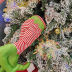 Slide image 635d8717c52b40cab3ce311832778dec