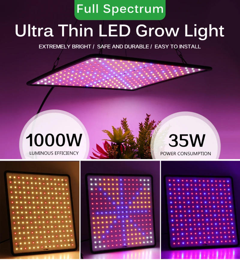 Description Picture 2 of itemLED Grow Light Full Spectrum 1000W 85-240V Phyto Lamp for Indoor Plants Growing Light Bulbs for Greenhouse Tent Flowers