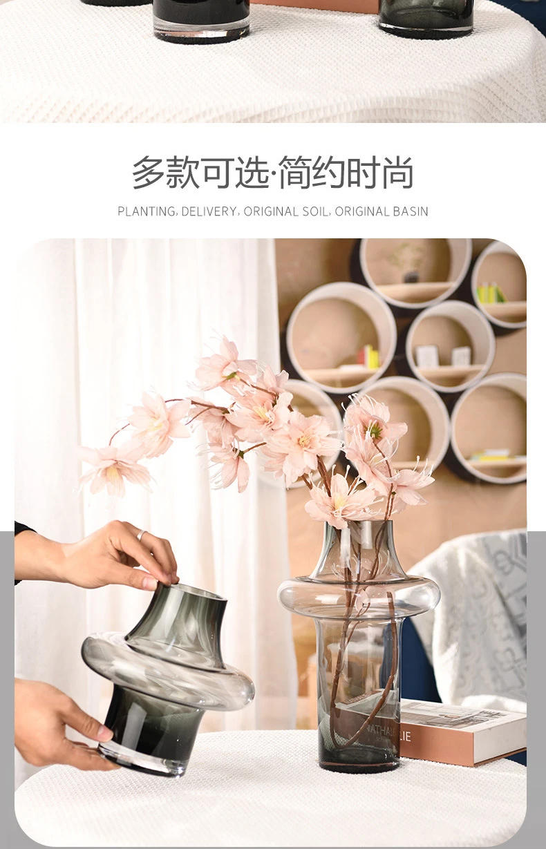 Description Picture 3 of itemHome Decor Antique Vase Living Room Decoration Glass Vase Ornaments Dried Flowers and Hydroponic Vases