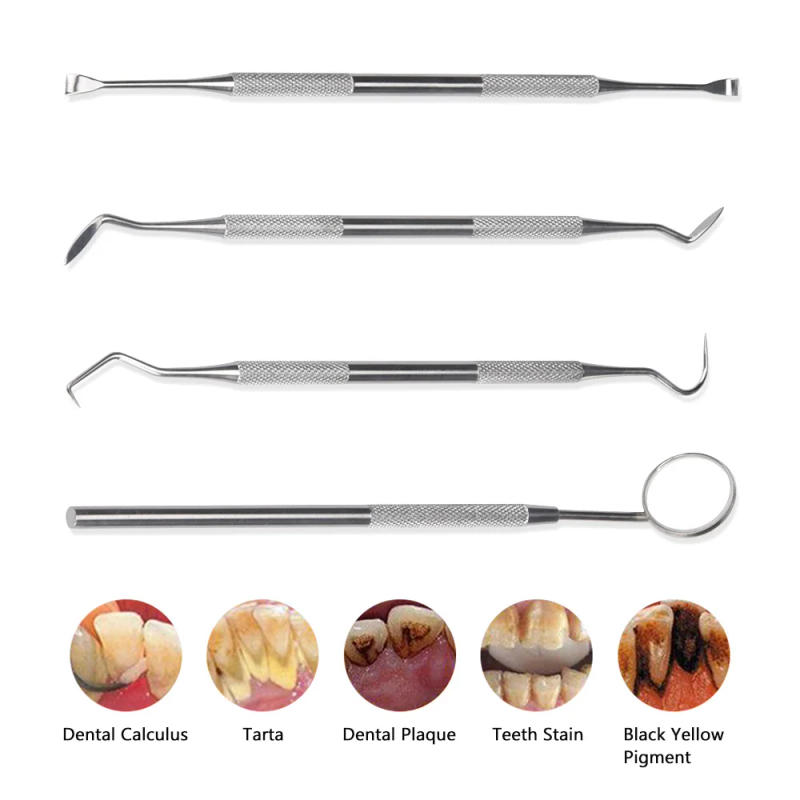 Description Picture 3 of itemStainless Steel Dentist Oral Tools Cleaning Flossing Tartar Removal Easy to Clean Not Easy to Break Dental Oral Mirror Care Kit