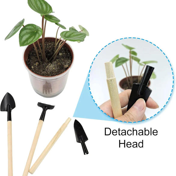 Slide 616cb079ce54485ea9757104c8f7ef76