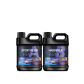 02-A250g-B250g