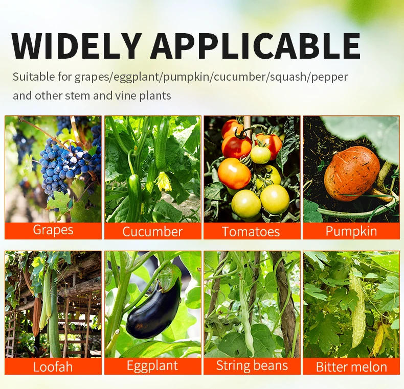 Description Picture 3 of itemOnnfang Garden Hand Tying Machine Plant Lightweight Garden Tools Plant Tape tool for Vegetables Grapes Tomatoes Cucumbers Garden