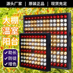 Hot Selling Lighting Black Full Spectrum LED Plant Growth Light Succulent Fill Light Anti-leggy Vegetable Flower Planting Light