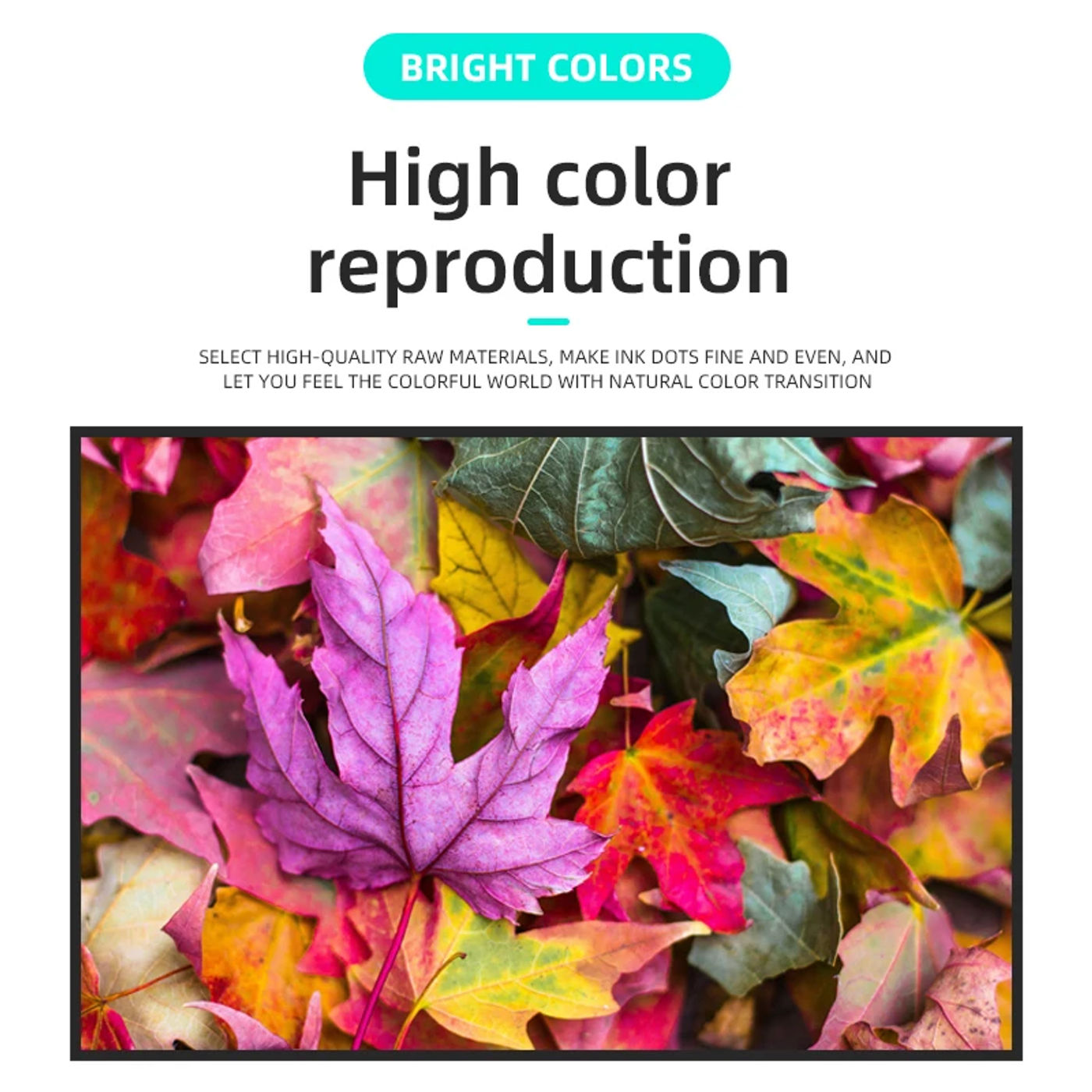 Slide 218adbcc664a49a6ade04a0865b64c5a