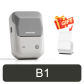 B1 Light Grey