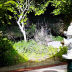 Slide image 62bf28316f2d4b4f91584baede291e1f