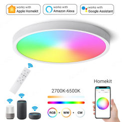 HomeKit WiFi Ceiling Lamp LED Modern Nordic Round Light Smart Dimmable RGB+CW+WW Interior Lighting Work With Alexa Google