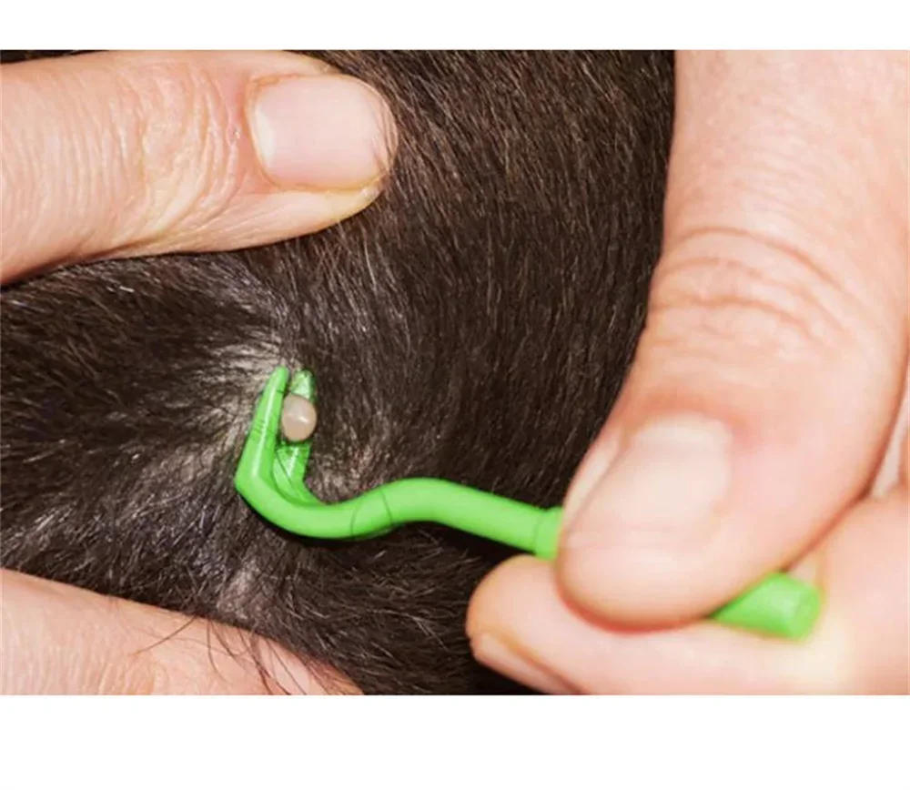Description Picture 5 of item3Sets Flea Remover Hook Tick Remover Tweezer Tick Pull Pet Cat Dog Tick Clamp Accessaries Pet Mite Flea Extractor Dog Accessarie