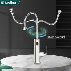 Briwellna Electric Water Heater Flowing Universal Spout Kitchen Faucet 2 in 1 Stainless Steel Electric Faucet 220V Heating Tap