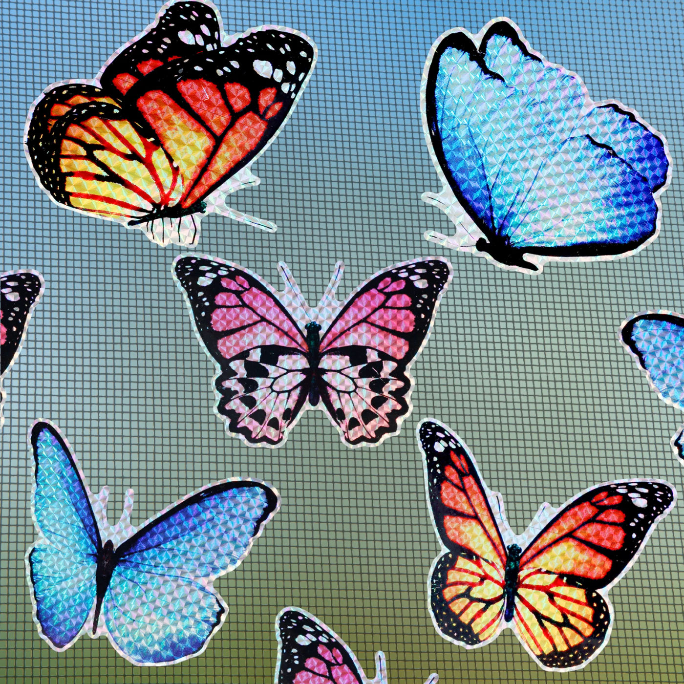 Slide 1989993cd83f4194be2c88156c1b6d82