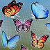 Slide image 1989993cd83f4194be2c88156c1b6d82