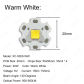 Warm White