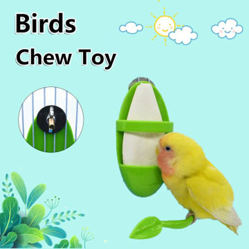 Durable Green Plastic Parakeet Budgie Cockatiel Parrot Feeder Cage Hammock Hanging Swings Bird Chew Toy