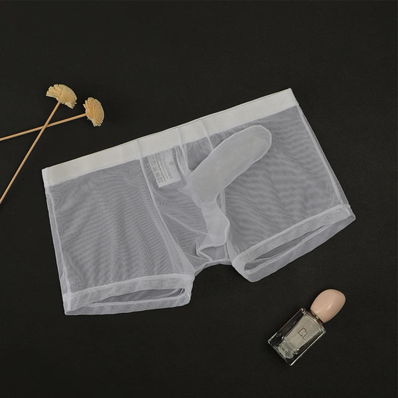 Description Picture 4 of itemSexy Men Transparent Trunks Underwear Ultra-Thin See Through Briefs Mesh Elephant Nose Panties Breathable Homme Slip