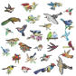 Bird 12pcs