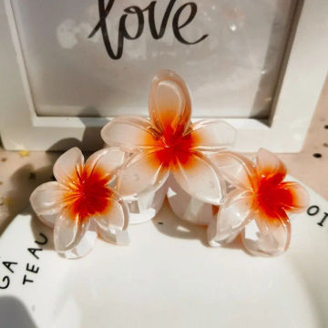 Candy Color Flower Hair Claw Ins Hairpins Gradient Frangipani Hair Clip Ponytail Holder Headwear Plastic Shark Clip Party