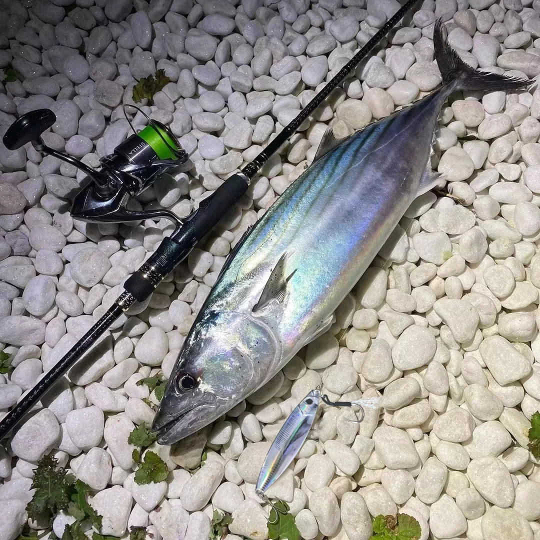 Description Picture 6 of itemMetal Jig Fishing Lure 30g 40g 60g Shore Cast Spoon Pike Hook Trout Swimbait Pesca Sinking Wobbler Spin Tackle Artificial Bait