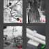 Slide image 73f3f09e7b434b328e06ffd8570d48c7