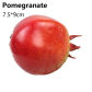 pomegranate