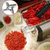 Slide image f7e53ceb81904bf3ad96fc4ac2703511