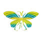 Butterfly C