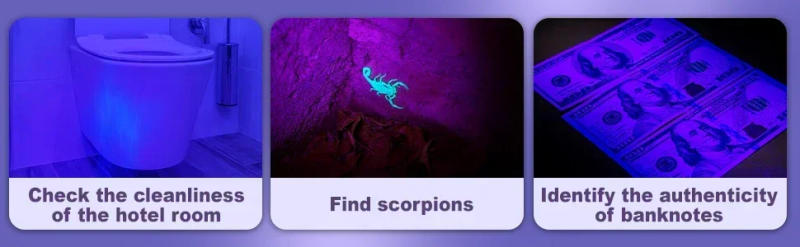 Description Picture 5 of itemUV Flashlights 395nm Black Light Flashlights 9 LED Ultraviolet Lamp Torch UV Light Detector for Pet Dog Cat Urine Stains