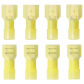 5 pair yellow
