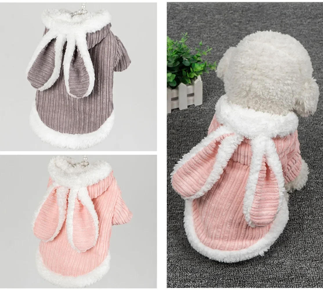 Description Picture 4 of itemLovable Cat Clothes Pet Autumn and Winterb Small Dog Kitten Two Legged Clothes Cat Puppy Warm Clothes Pet Costume Hairless Cat