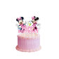 caketopper1pcs