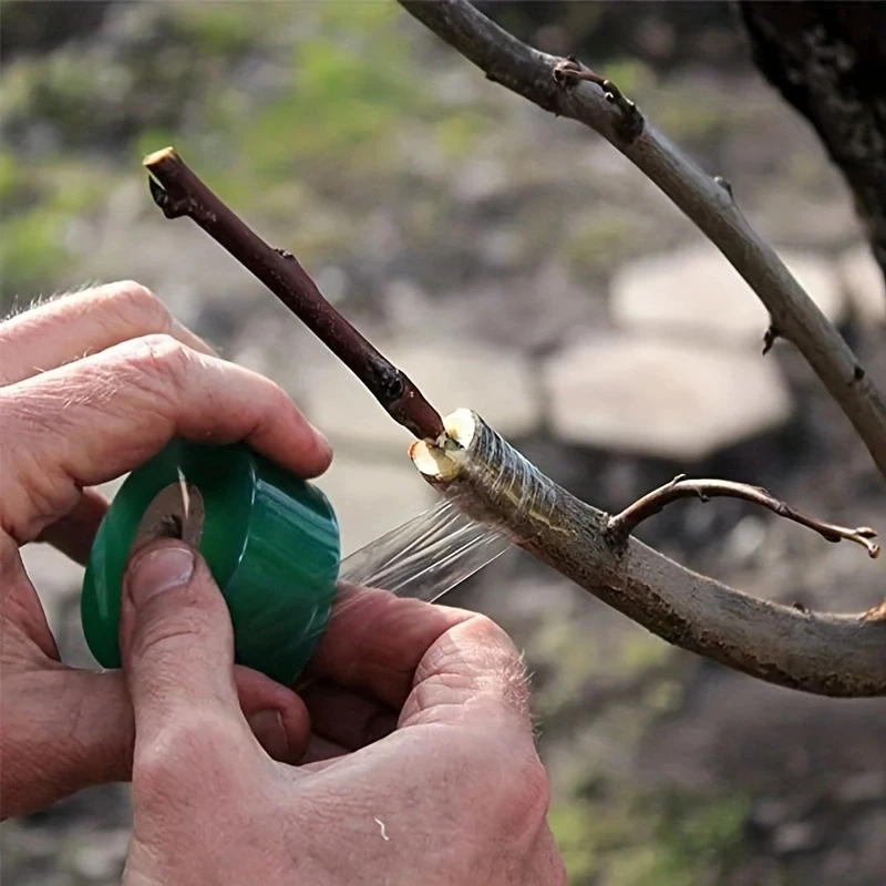 Description Picture 4 of itemSelf-adhesive PE Grafting Tape Film Stretchable Garden Tree Plants Seedlings Vine Tomato Grafting Accessories