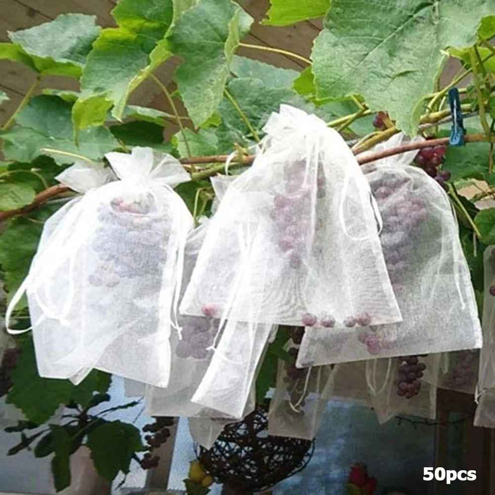 Description Picture 6 of itemPest Control Anti-Bird Garden Netting Bags Strawberry Grape Protection Sac Protection Fruit Sacs for Plantas Vegetable Grow Bags