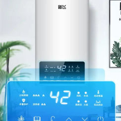 Gas water heater household natural gas 12L constant temperature forced exhaust liquefied gas 16 liters boosted balanced type