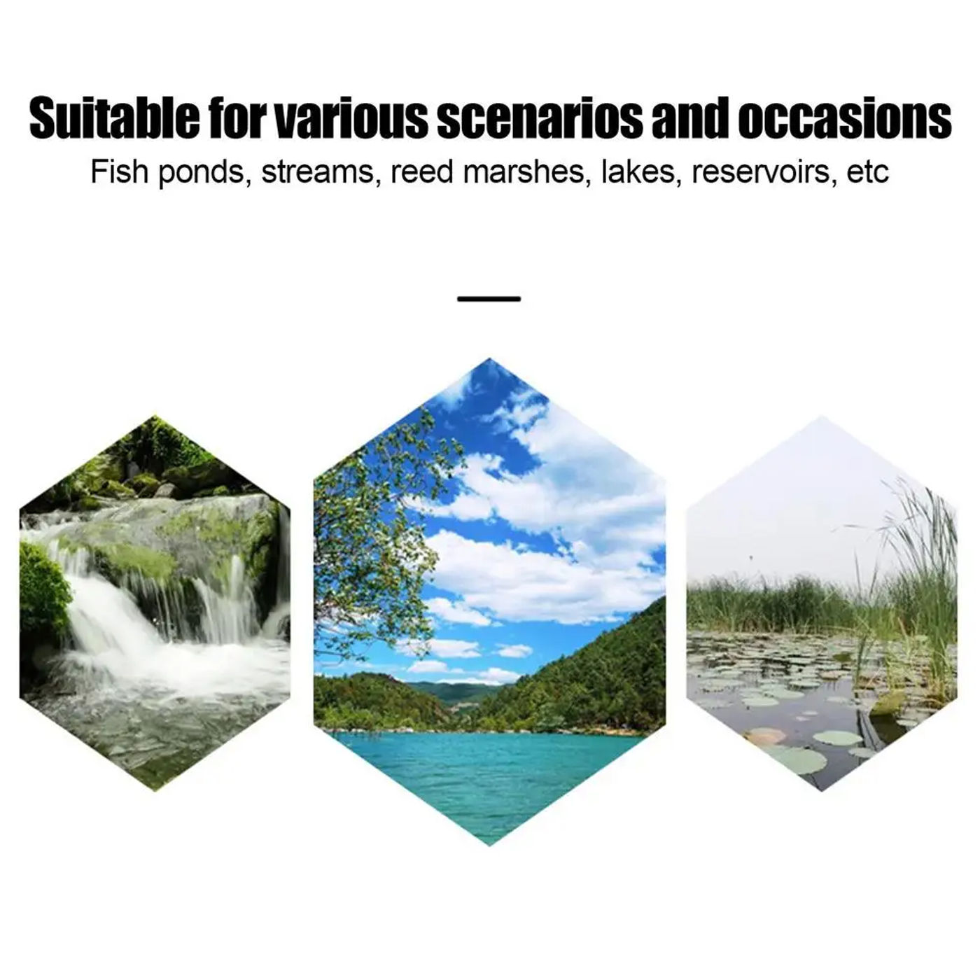 Description Picture 5 of itemFishing Traps For Fish Portable Catch Fish Trap Cage Lightweight Design Fishing Accessories For Catching Herring Crayfish Small