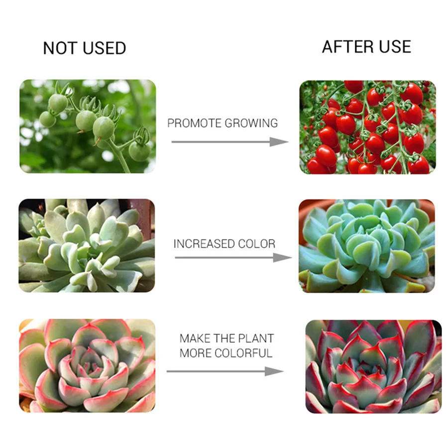 Description Picture 3 of itemSelling LED Grow COB Light Chip Full Spectrum AC 110V 220V 10W 20W 30W 50W-100W No need driver For Growth Flower Seedling Grow