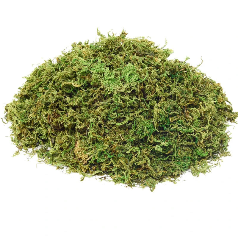 Description Picture 2 of item10g Moss for Potted Plants Artificial Moss for Fake Plants Faux Moss for Planters Decorative Moss for Craft and Home Decor