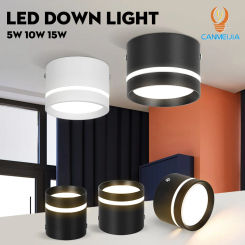 Ceiling Downlight Lamp LED Spotlights For Home Living Room Bedroom Luster Home-Appliance Down Light Led 220V Interior Decoration